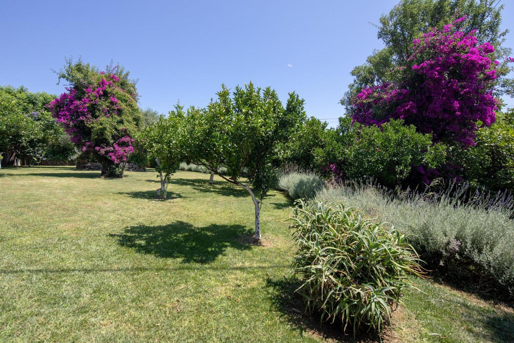 Ionian Garden Villas - Villa Pietra Benitses  Luaran gambar