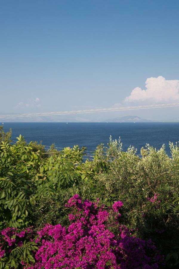 Ionian Garden Villas - Villa Pietra Benitses  Luaran gambar